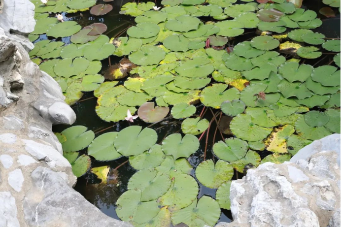 1650269165842063.png image.png